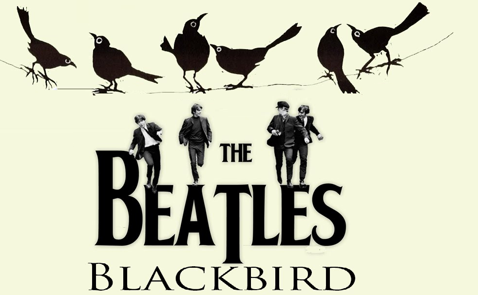 Blackbird The Beatles Lyric