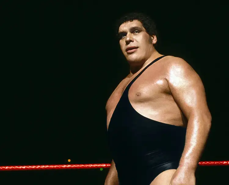How Tall Was Andre the Giant reall x