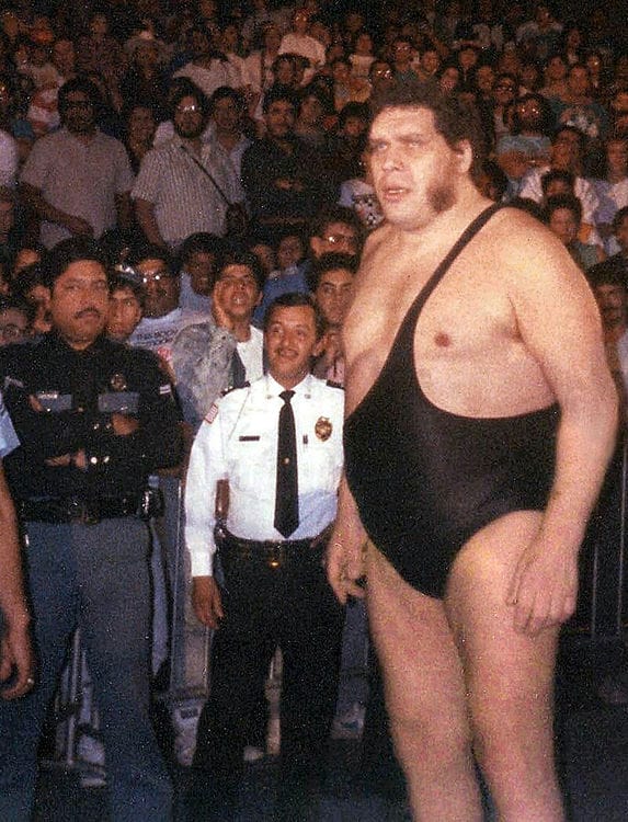 How Tall Was Andre the Giant reall x