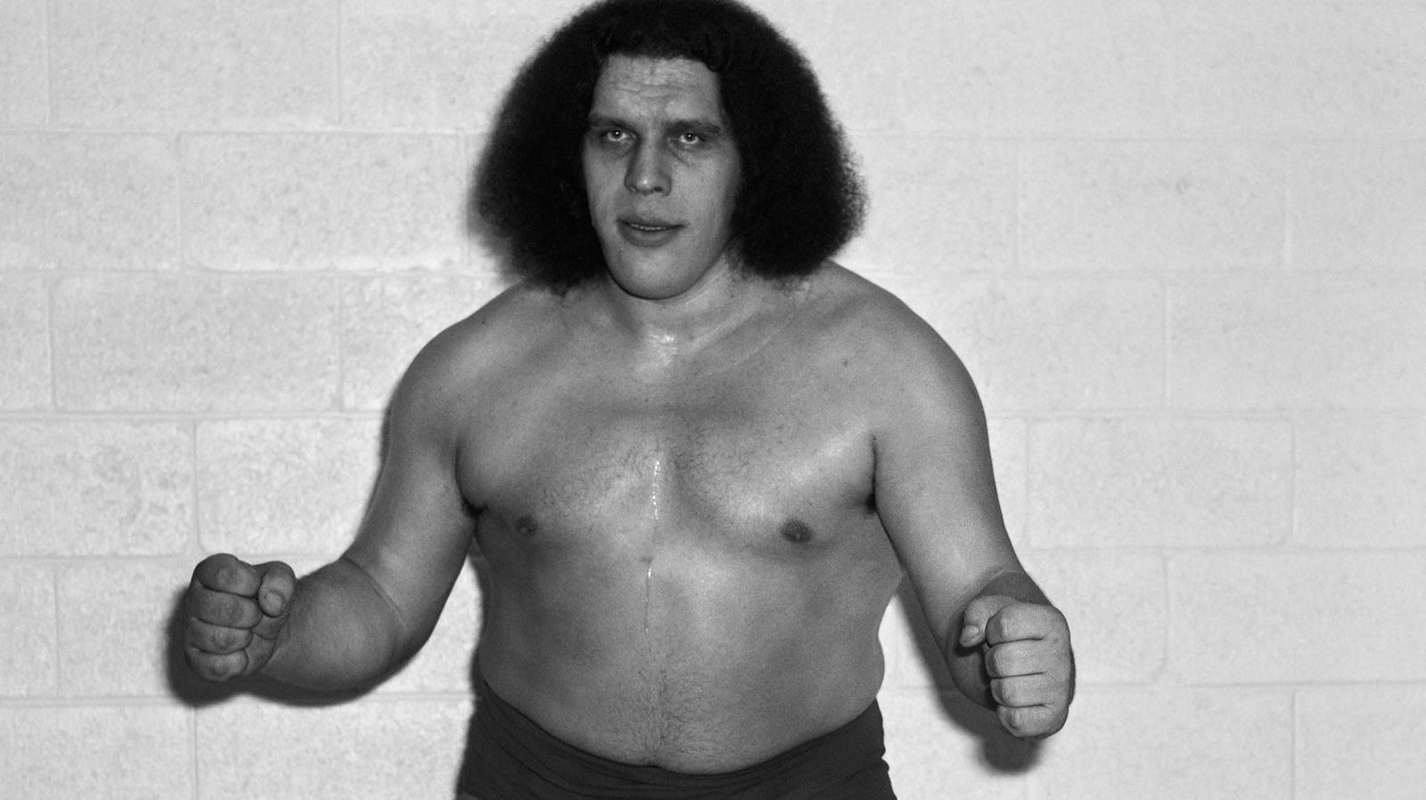 What Disease Did Andre the Giant Have