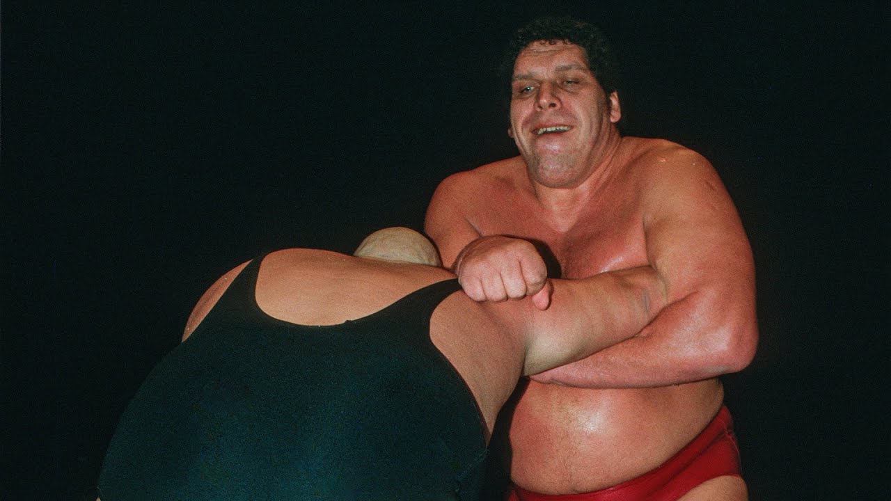 Why Did Andre the Giant Die?