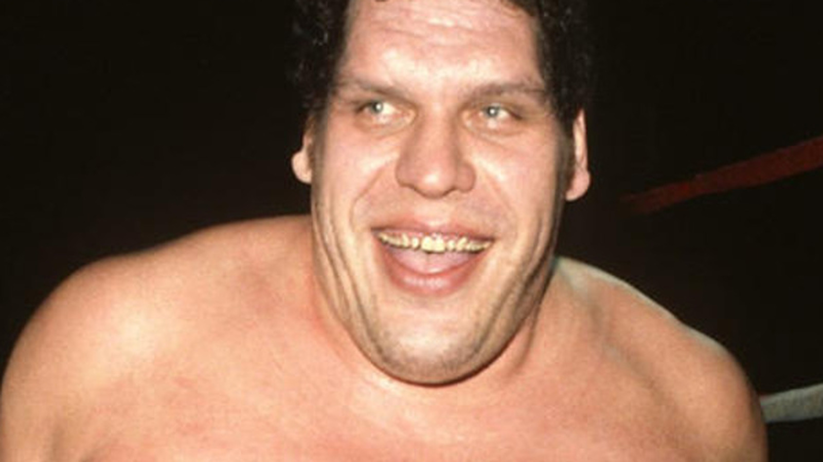 Why Did Andre the Giant Die?