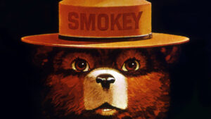 Where Was Smokey the Bear From