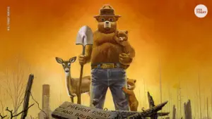 What Happened to Smokey the Bear