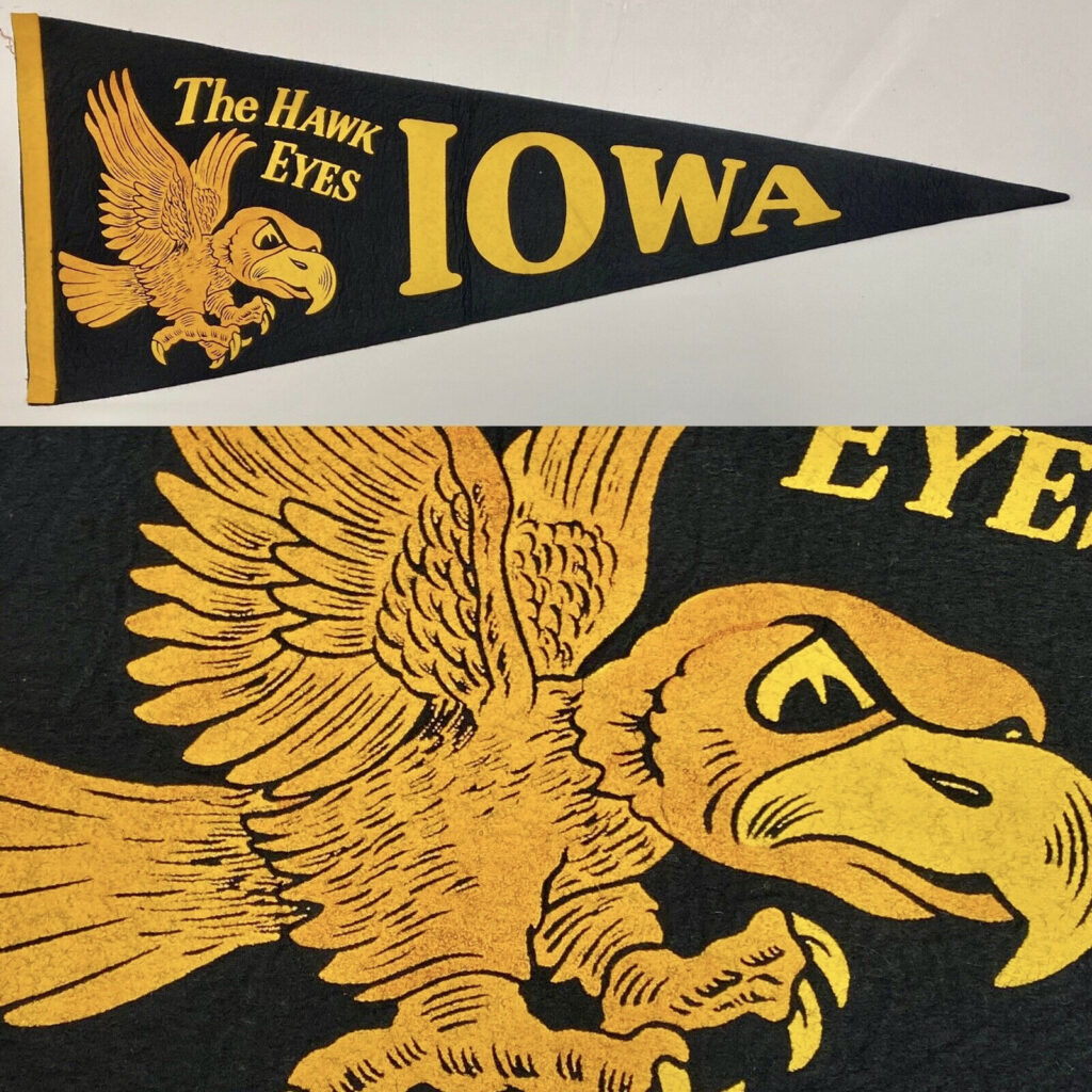 Why Is Iowa Called the Hawkeye State