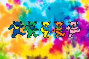 Significance of Grateful Dead Dancing Bears